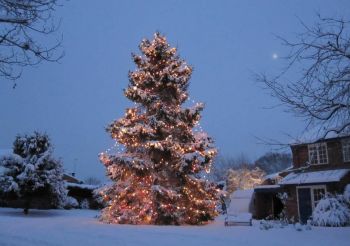 Karácsonyfa